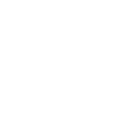 Cheeky Monkey Studios Limited Cheeky Monkey Studios Limited - logo